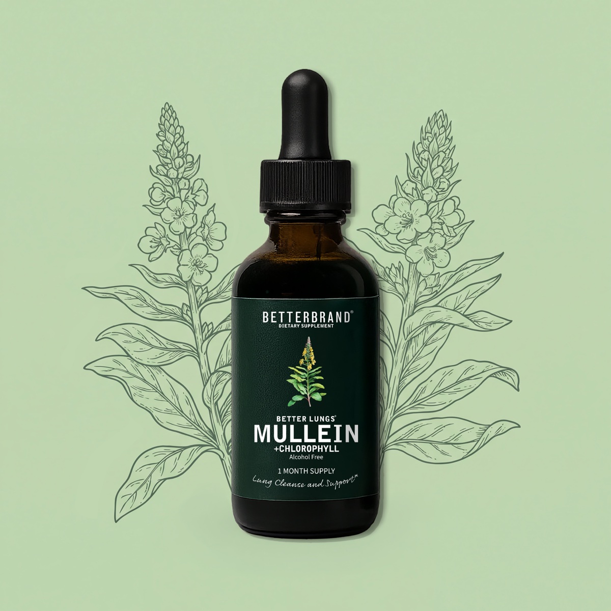 BetterLungs Mullein + Chlorophyll tincture bottle